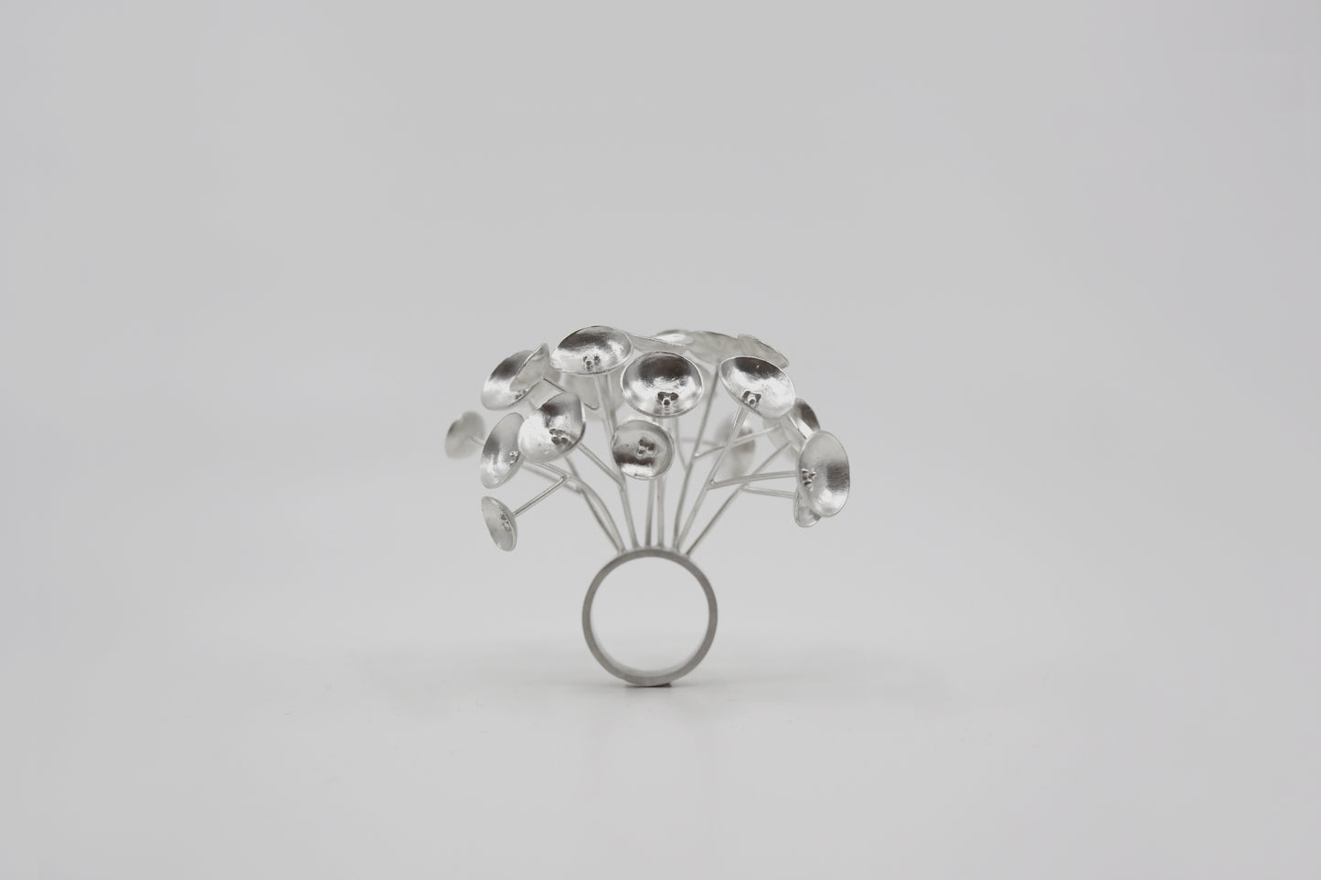 The Circle Series Ring #1