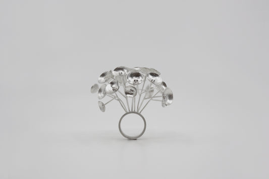 The Circle Series Ring #1