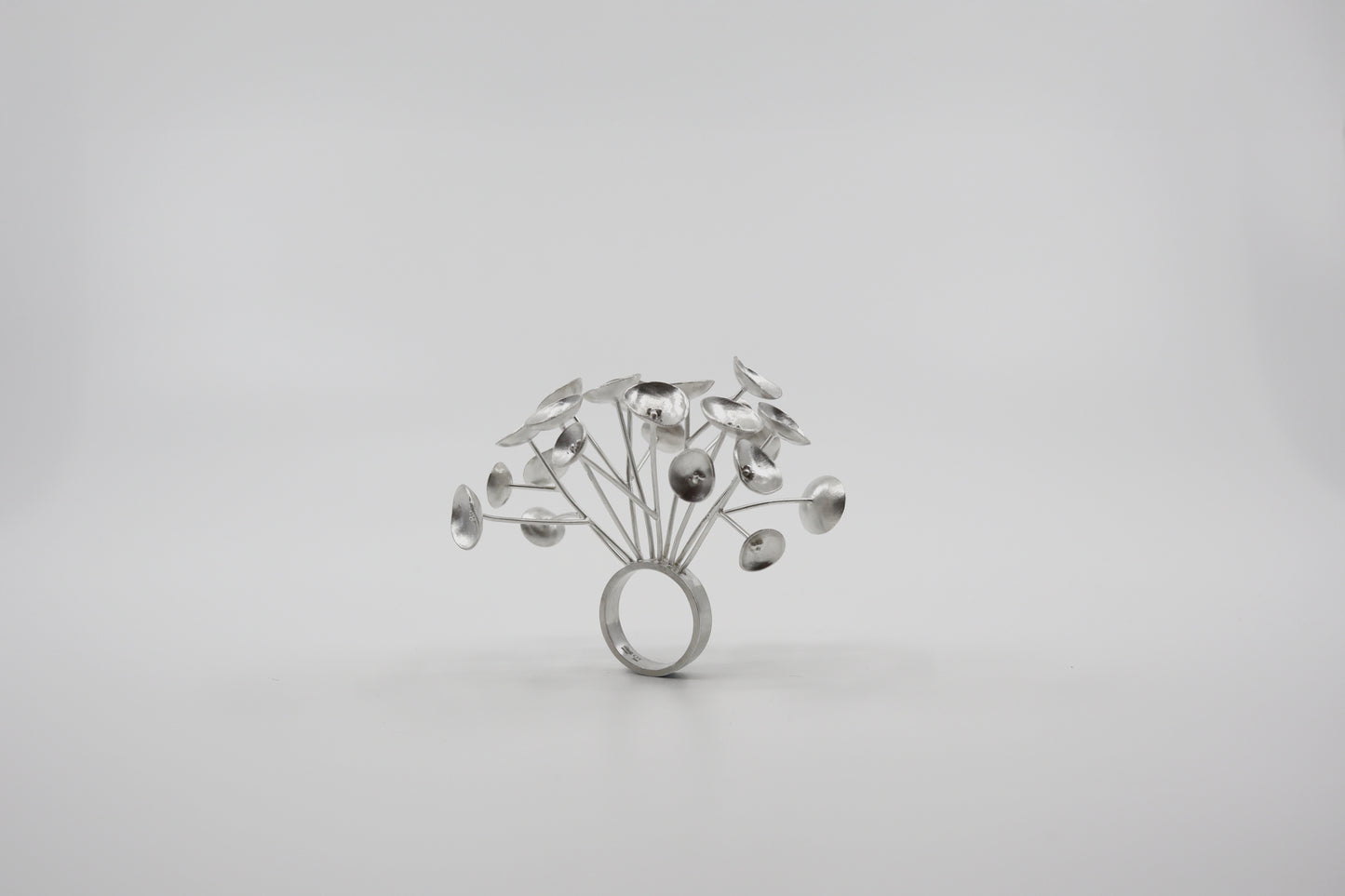 The Circle Series Ring #1